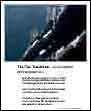 new tenebrism