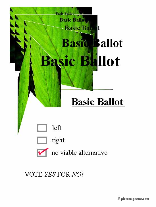 P/P Poster: BASIC BALLOT