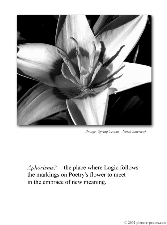 Picture/Poem Poster: Aphorisms