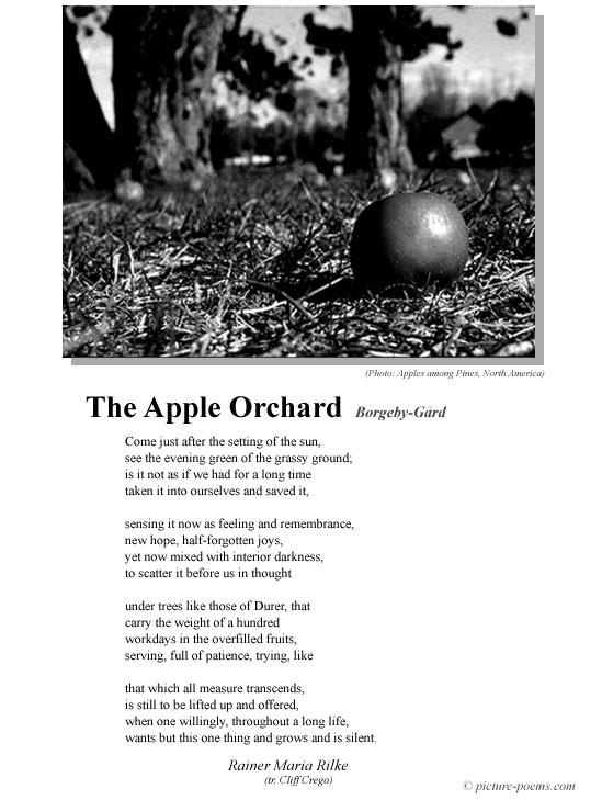 Rilke Poster: The Apple Orchard