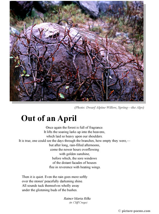 Picture/Poem Poster: Out of an April (Rilke)