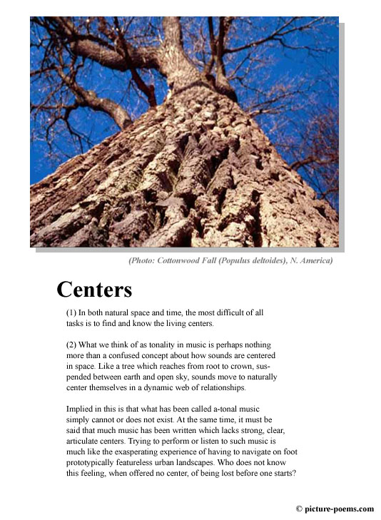 Picture/Poem Poster: Centers
