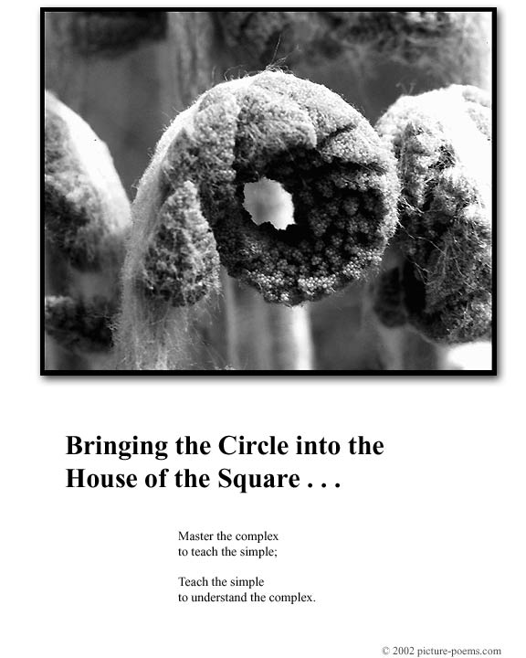 Picture/Poem Poster: Circle/Square