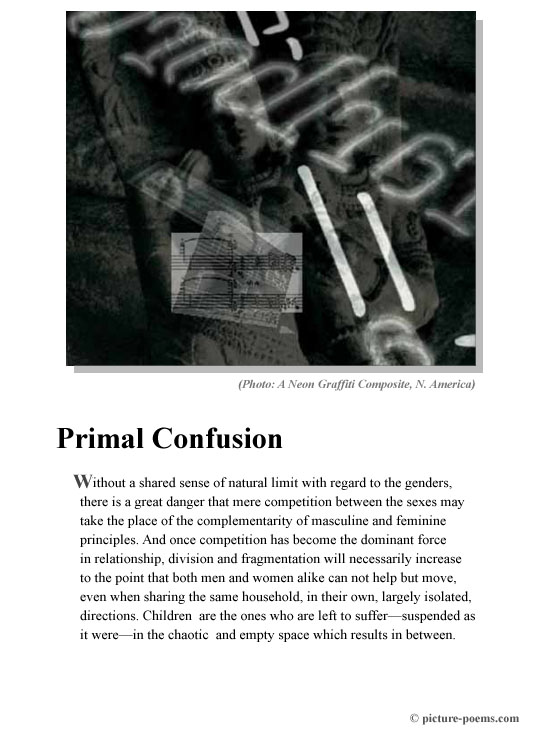 Picture/Poem Poster: Primal Confusion