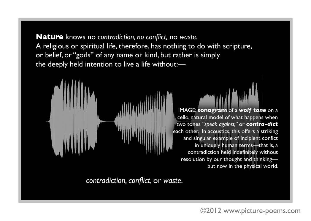 Contradiction - The Essence Of Anger Contradiction - The Essence Of Anger