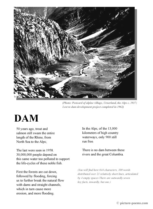Picture/Poem Poster: DAM