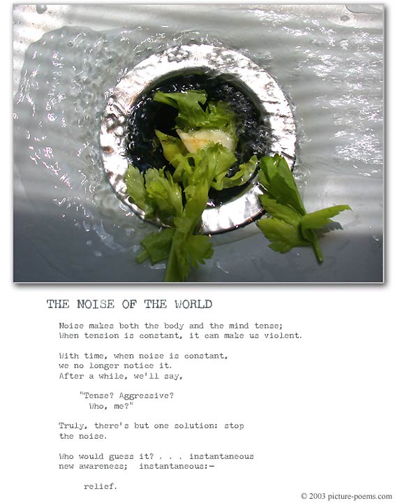 Picture/Poem Poster: NOISE