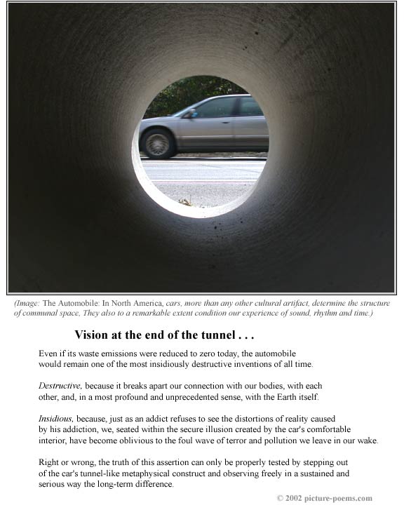 Picture/Poem Poster:  Vision