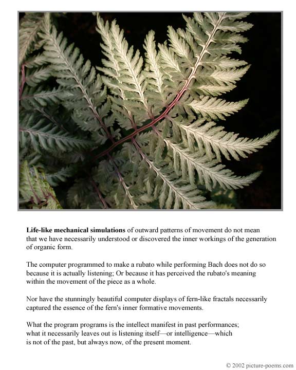 Picture/Poem Poster: Fern