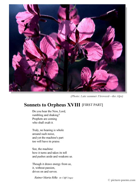 Picture/Poem Poster: Sonnet XVIII [FIRST PART]