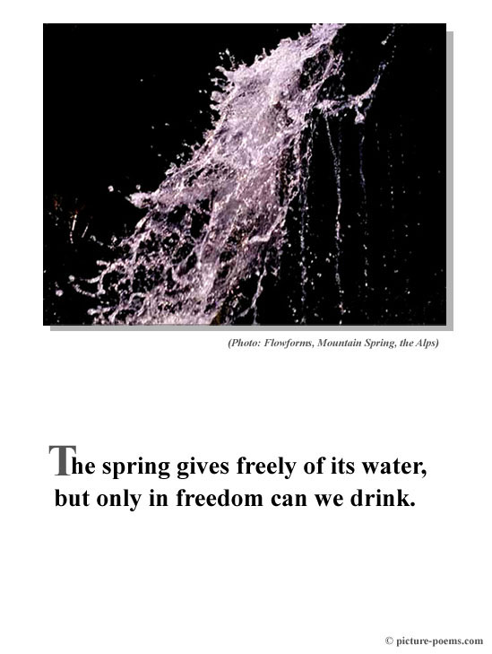 Poster: Freedom Spring