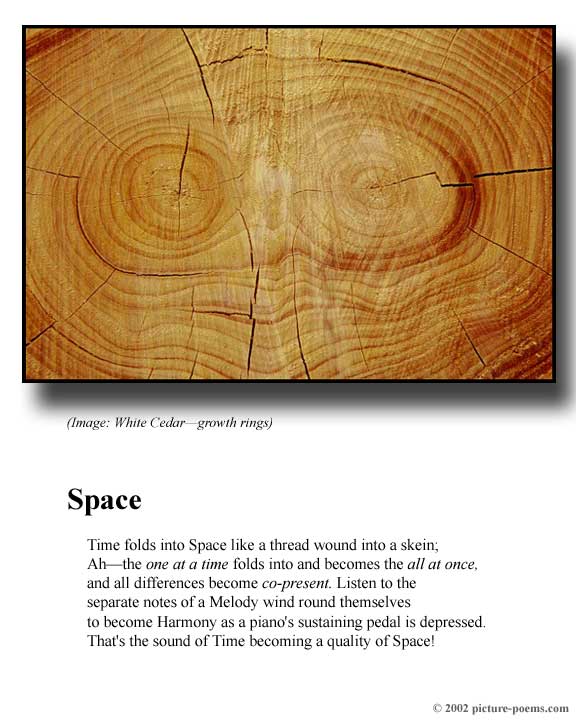 Picture/Poem Poster: Grain of Space