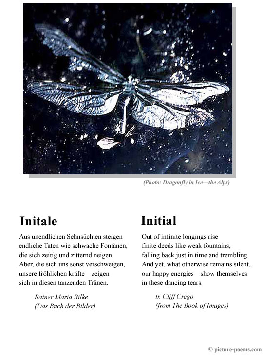 Picture/Poem Poster: Initial (Rilke)
