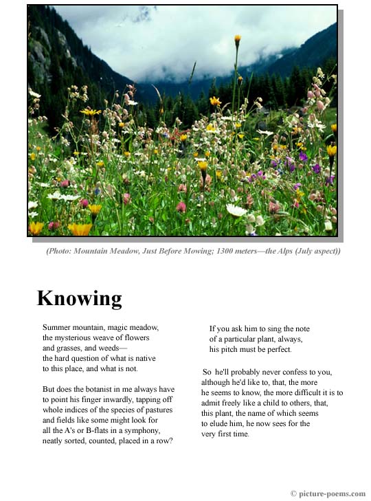 Picture/Poem Poster: Knowing