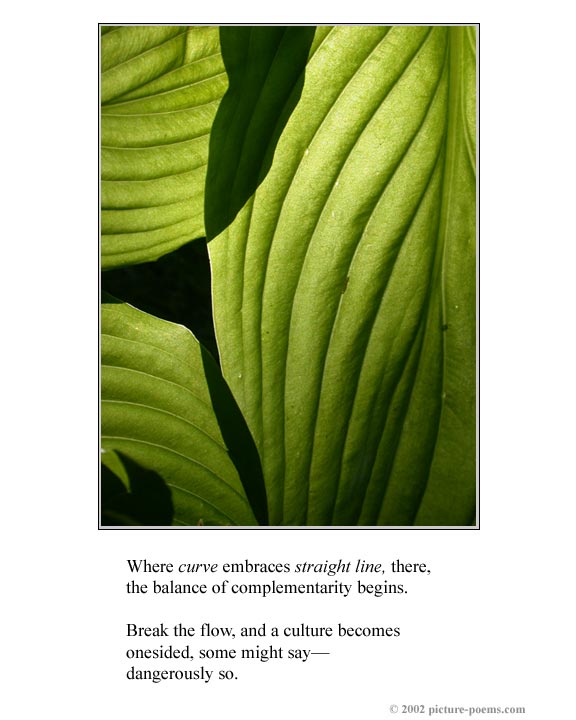 Picture/Poem Poster:  Line and Curve