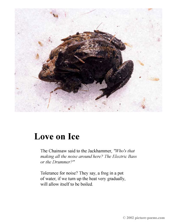 Picture/Poem Poster: Love on Ice