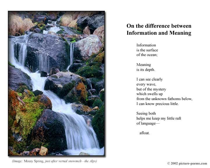 Picture/Poem Poster: Mossy Spring