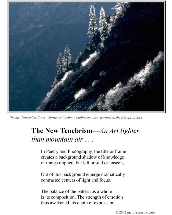 Picture/Poem Poster: New Tenebrism