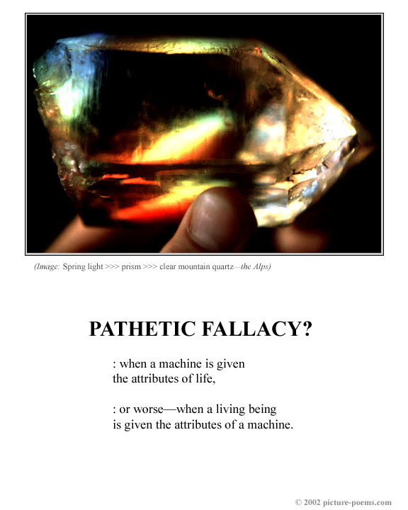 Picture/Poem Poster:  PATHETIC FALLACY?