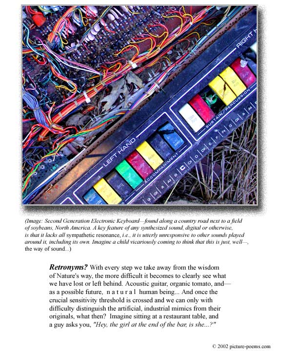 Picture/Poem Poster: Retronyms