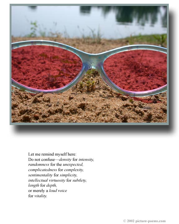 P/P Poster: Rose-colored Glasses