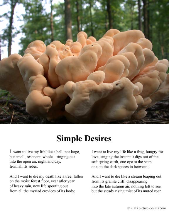 Picture/Poem Poster:  Simple Desires
