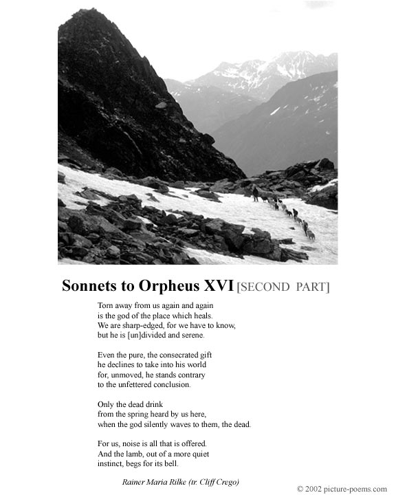 Picture/Poem Poster: XVI [SECOND PART] (Rilke)