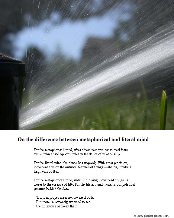 Picture/Poem Poster: The Sprinkler