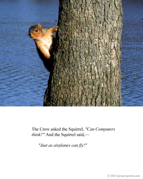 Picture/Poem Poster: Squirrel Tree