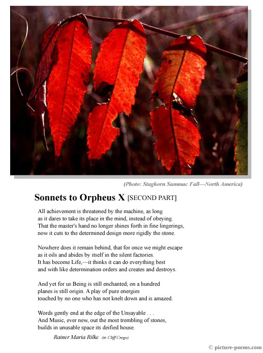 Picture/Poem Poster: Sonnets to Orpheus X [SECOND PART]