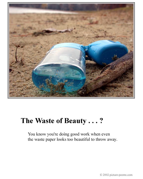 Picture/Poem Poster:  The Waste of Beauty