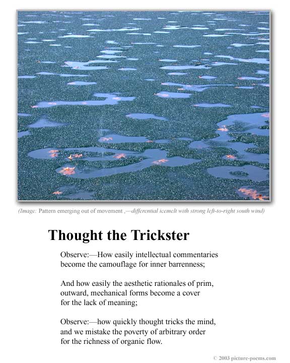 Picture/Poem Poster:  Thought the Trickster