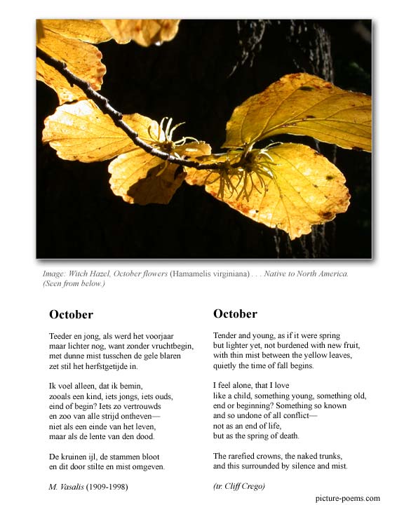 Picture/Poem Poster: October (M. Vasalis)