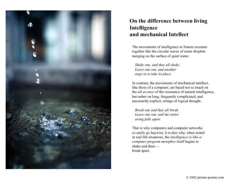 Picture/Poem Poster: Water Fountain
