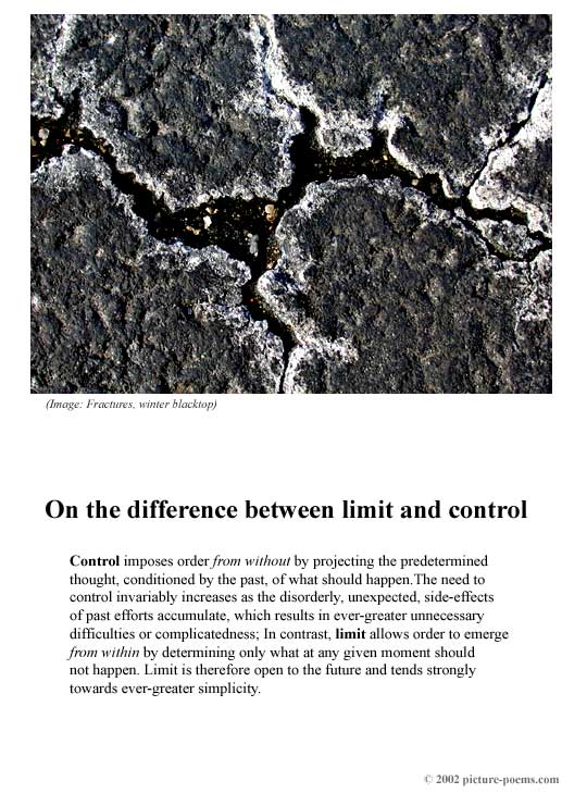 Picture/Poem Poster:  Wayside Fractals