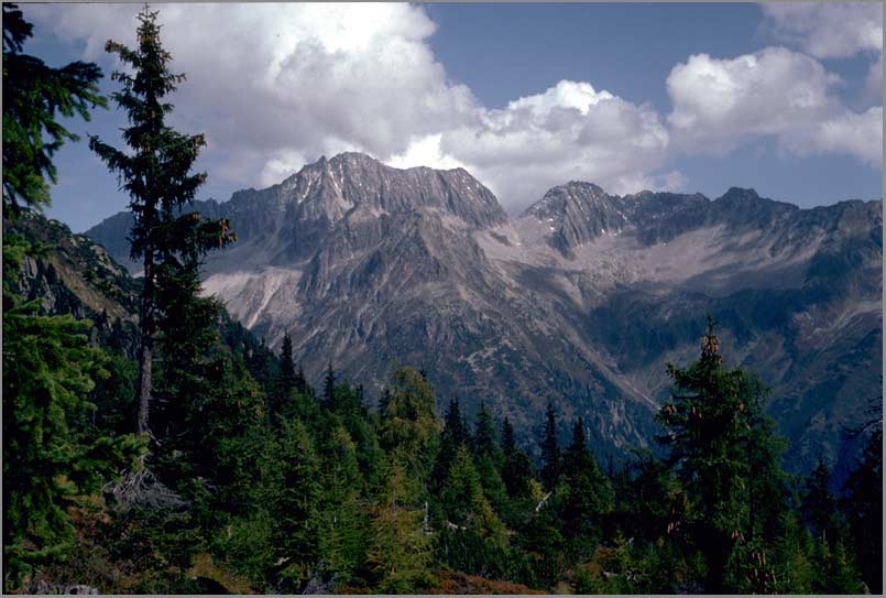alpine heartland