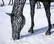 wire horse