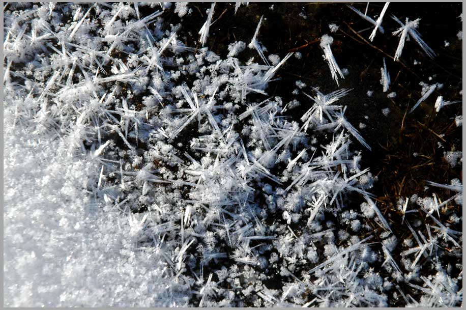 frost crystals