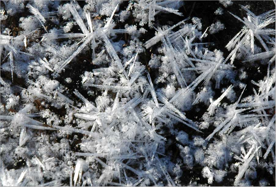 frost crystal complex