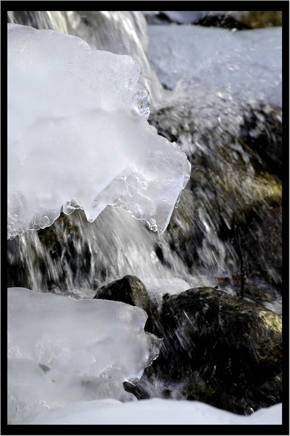 ice forms