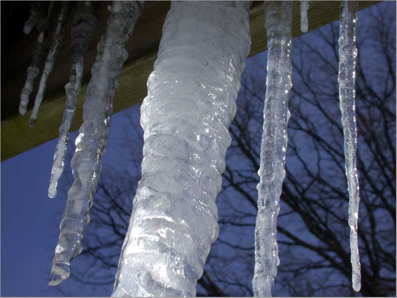 february icicles