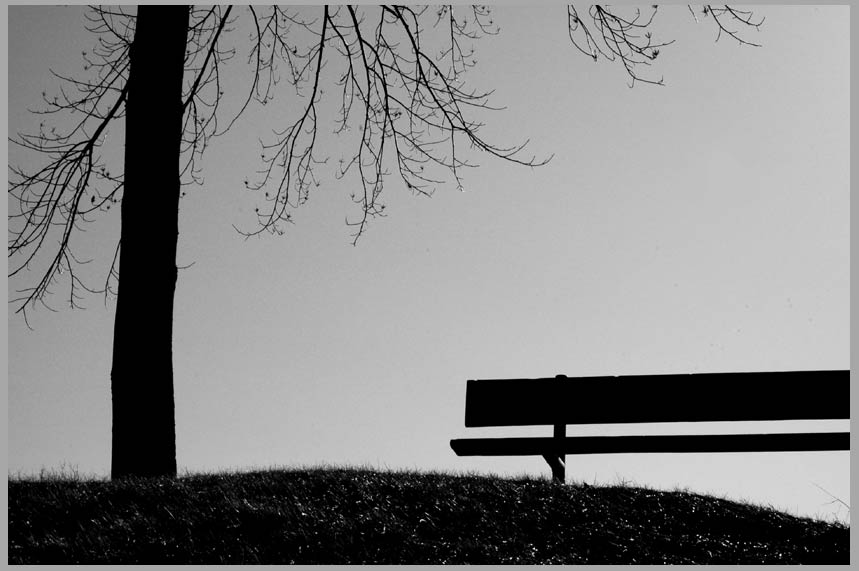 linden bench