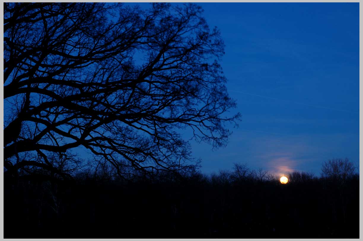 moonrise on new year