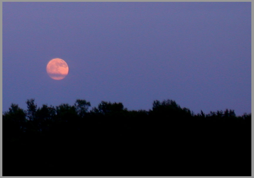 moon rise, all-but-full