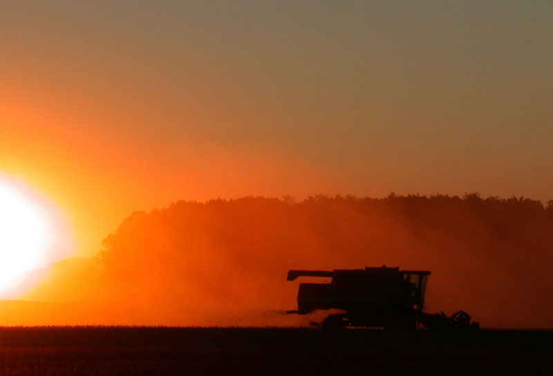 soy harvest