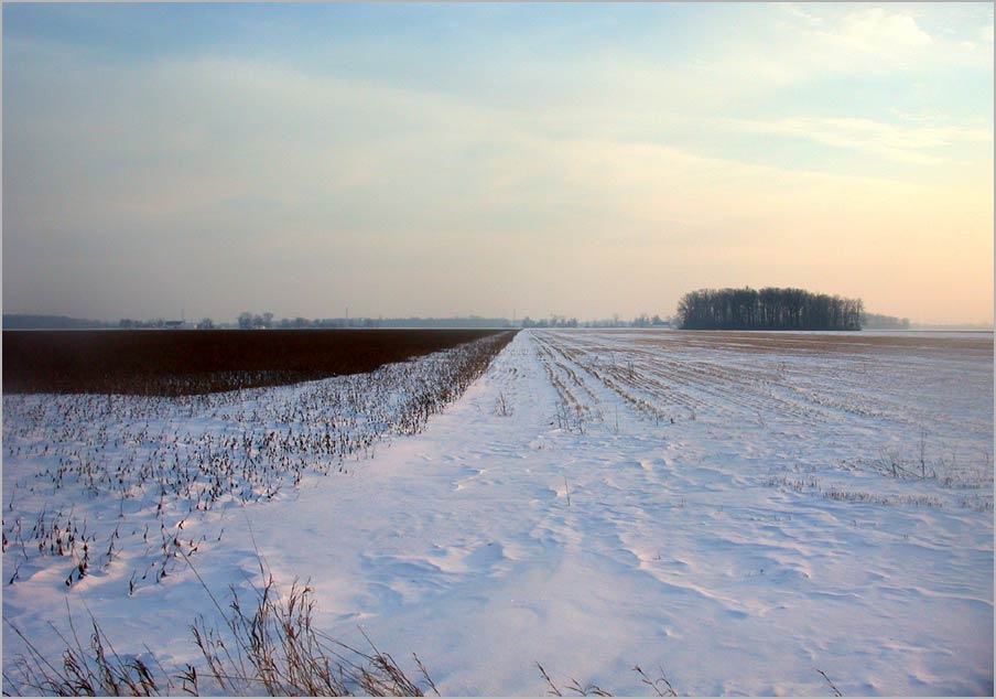 winter, looking south