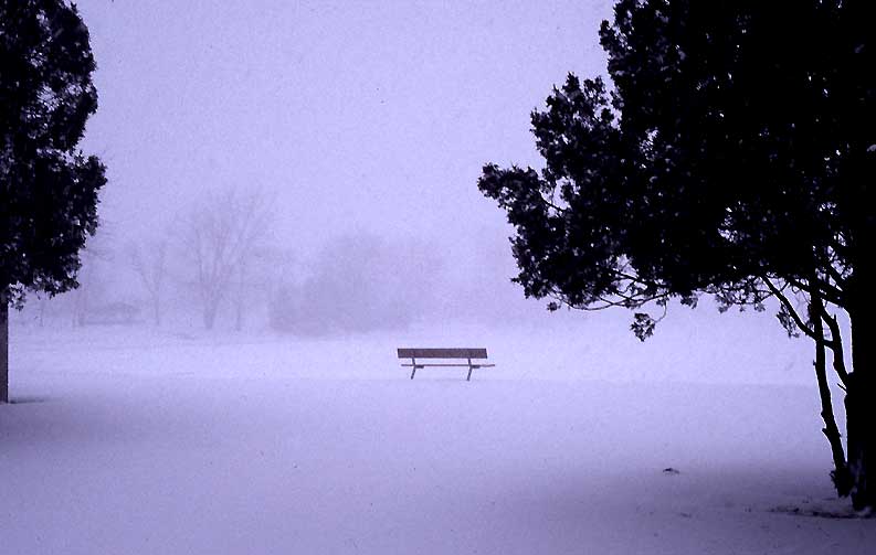 december snow bench